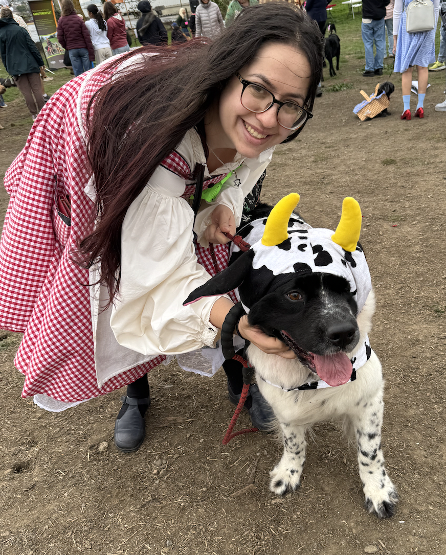 Screen Shot 2025-11-03 at 20.48.20.png