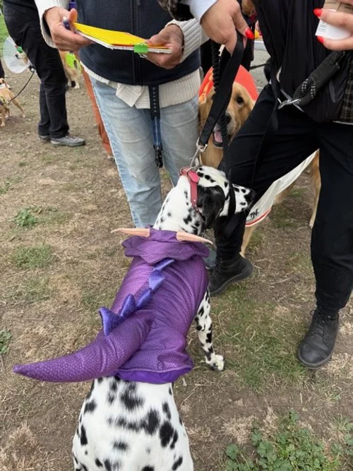 Purple Dinosaur.jpeg