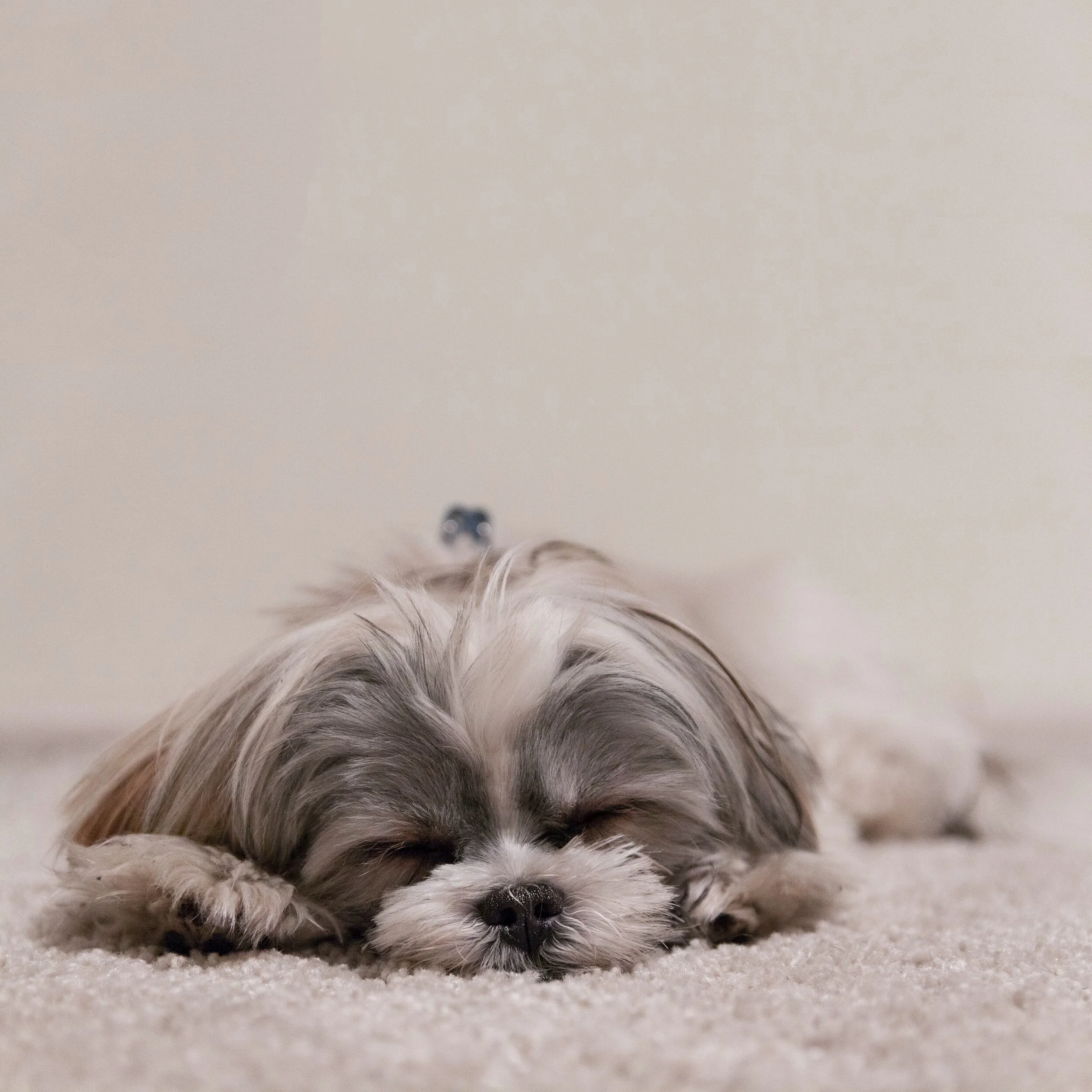 Forced To Choose Between Weird Sleep Solutions