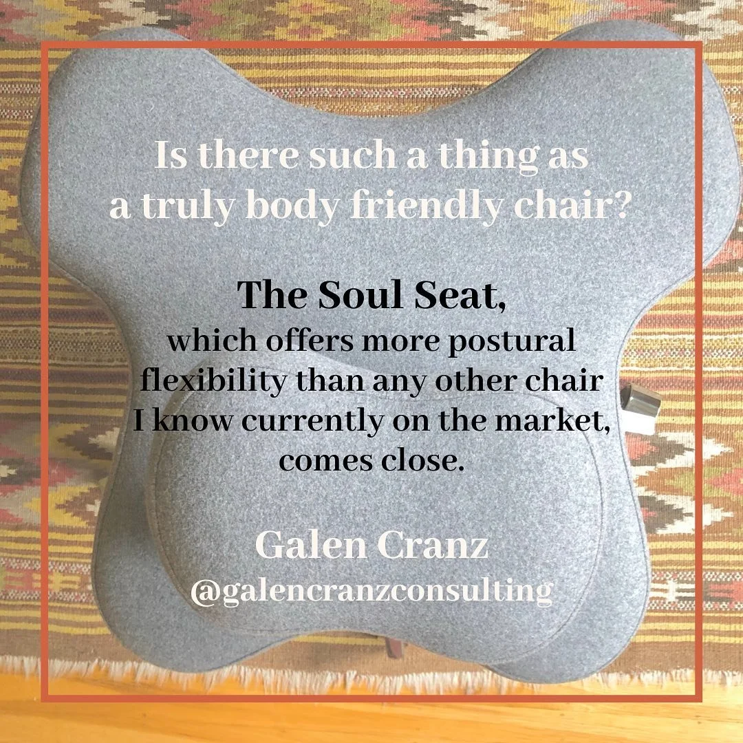 Body Conscious Design Soul Seat Review, by Galen Cranz