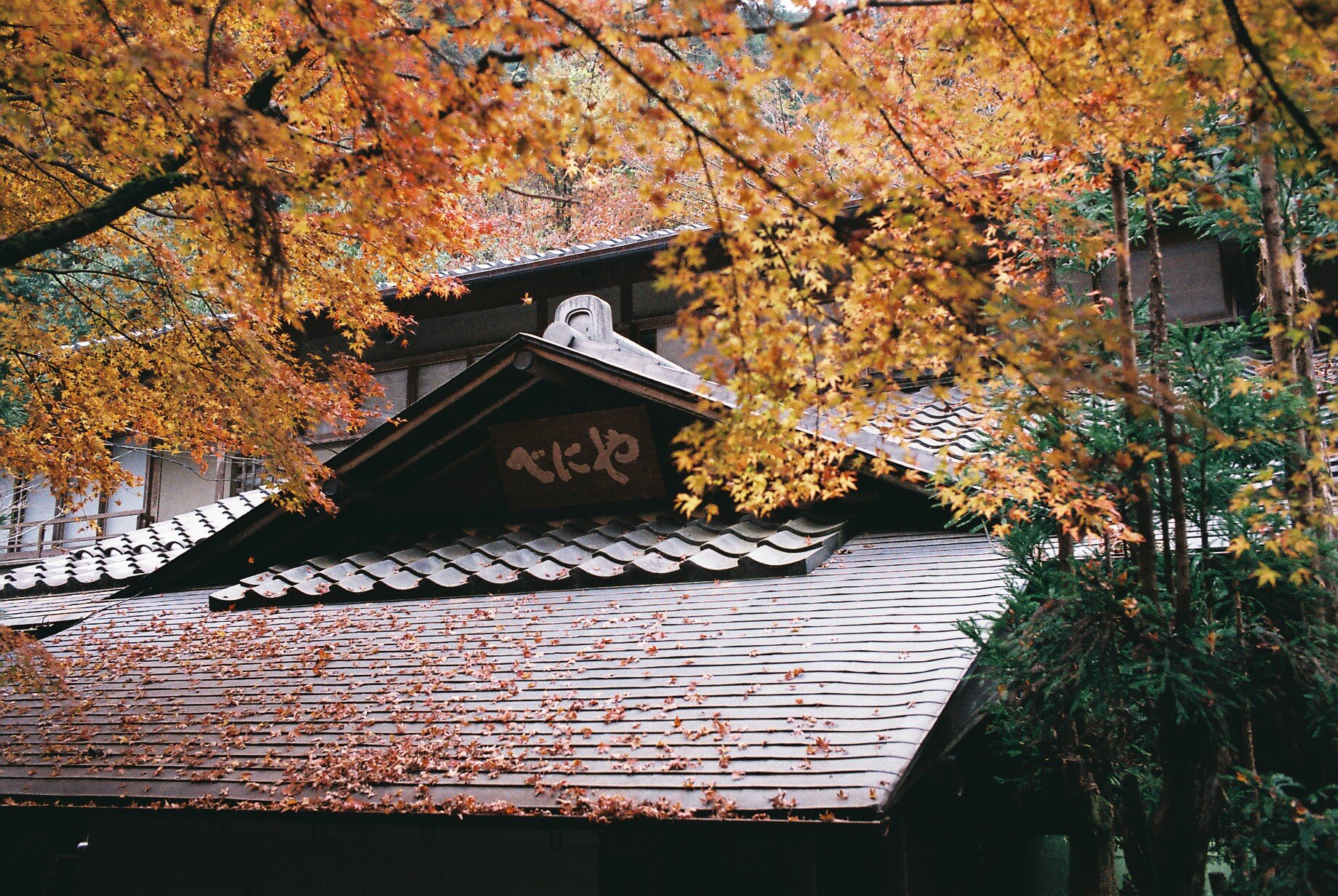FH000013.JPG