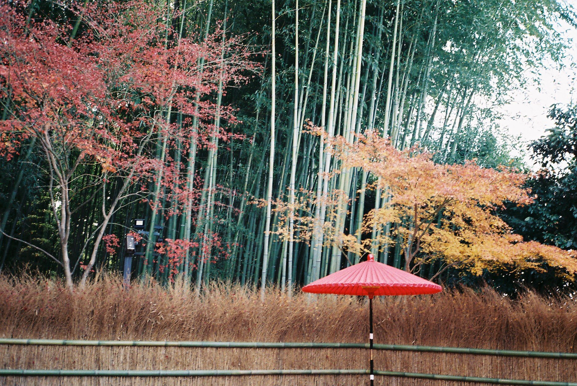 FH020012.JPG