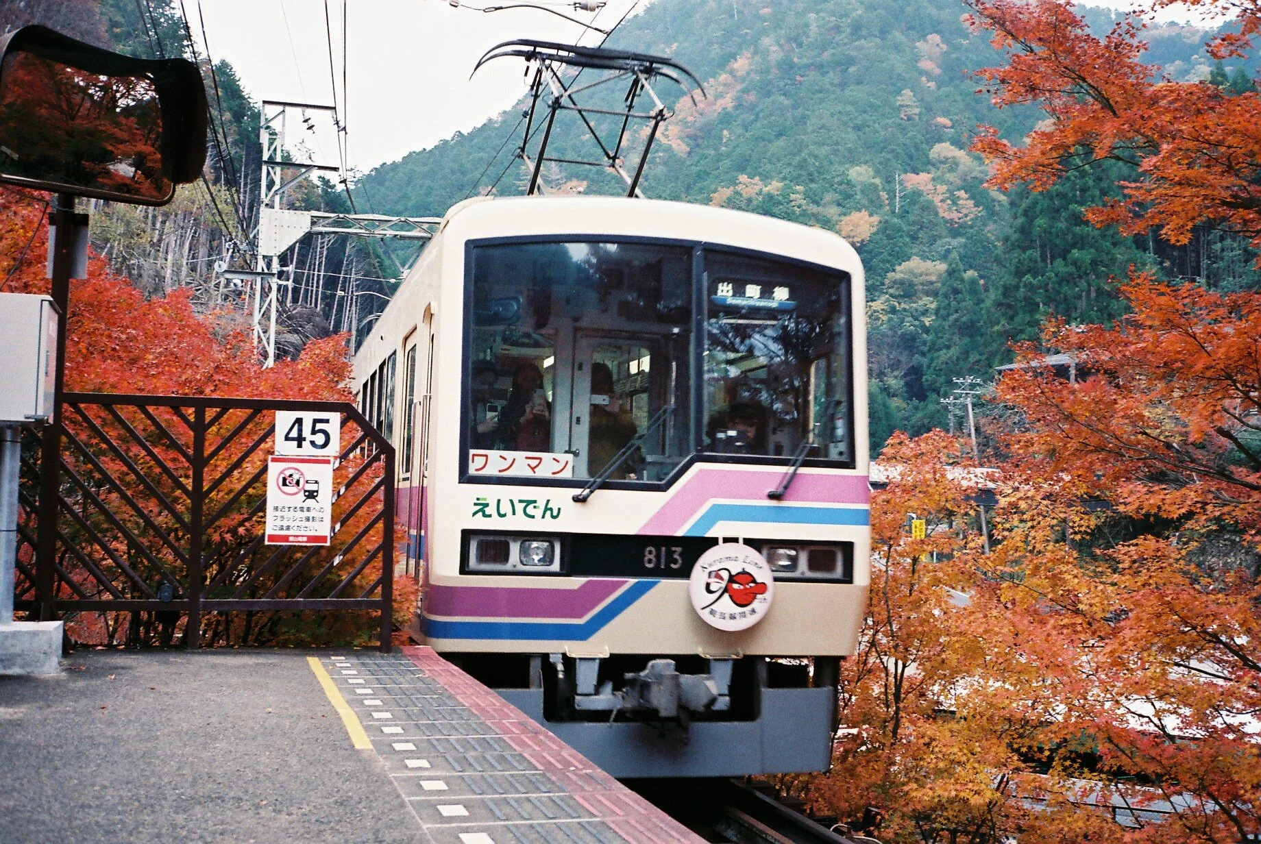 FH010031.JPG