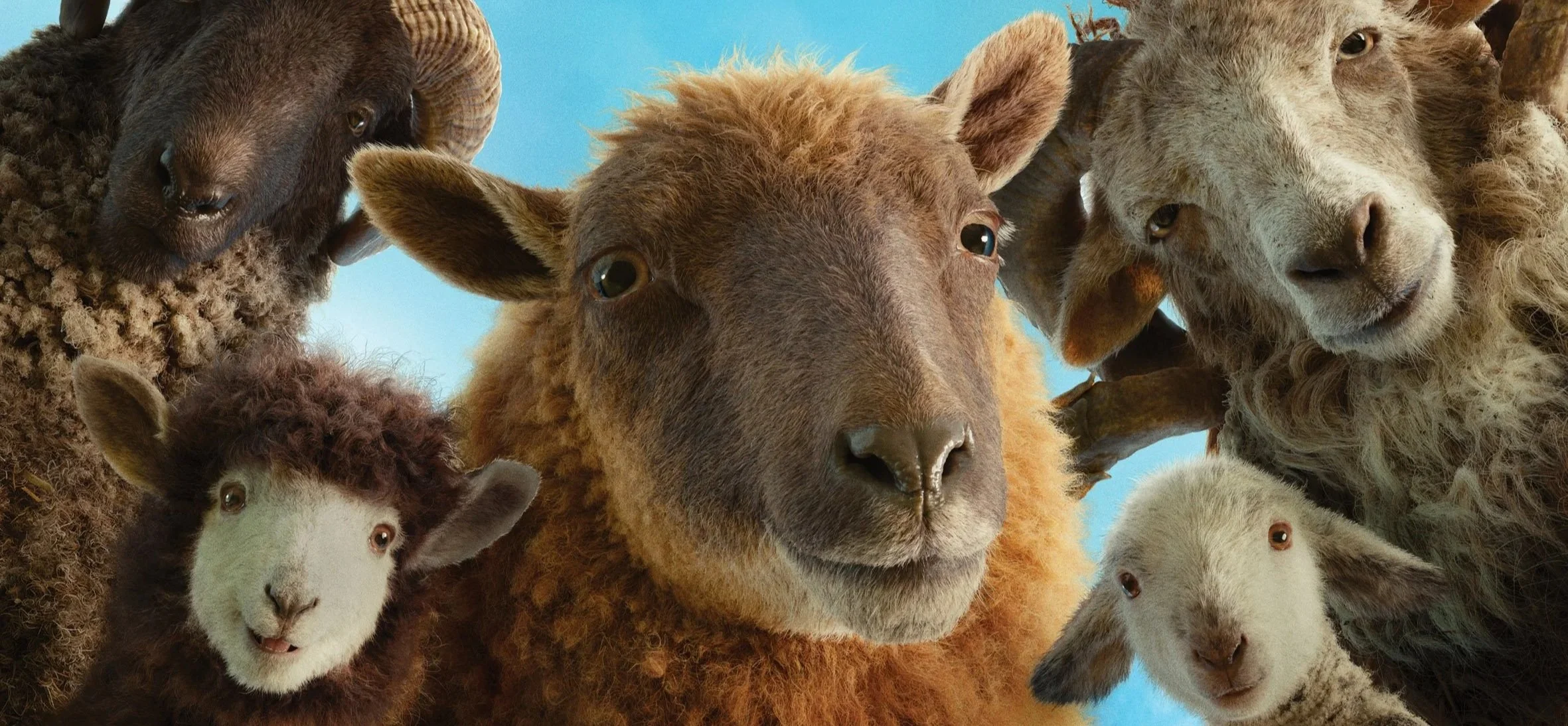 <b>The Sheep Detectives</b> <br/>Released 7th May<br/><font size="-1">Silver | P18-39