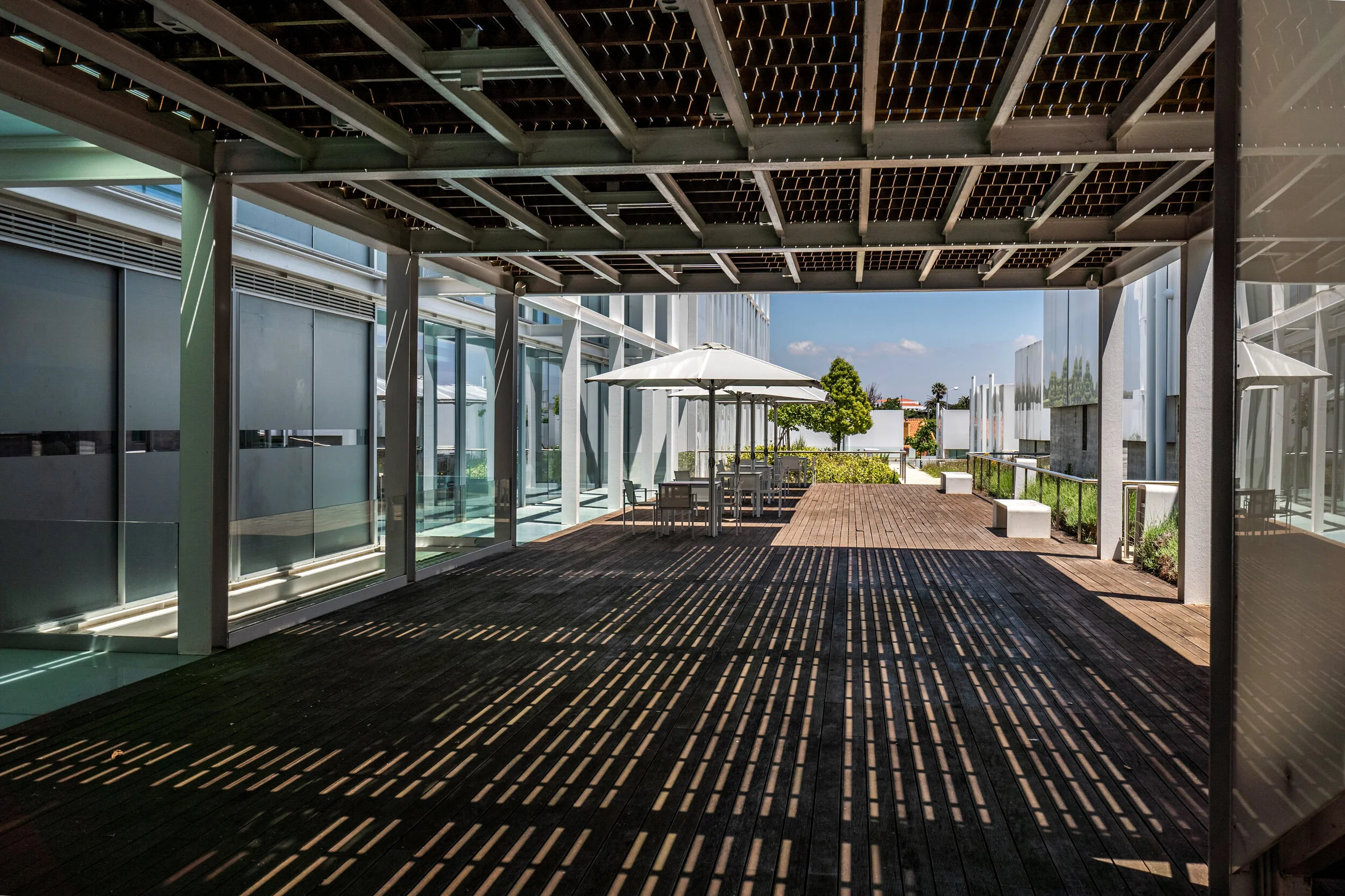 ExterioresSite-7.jpg