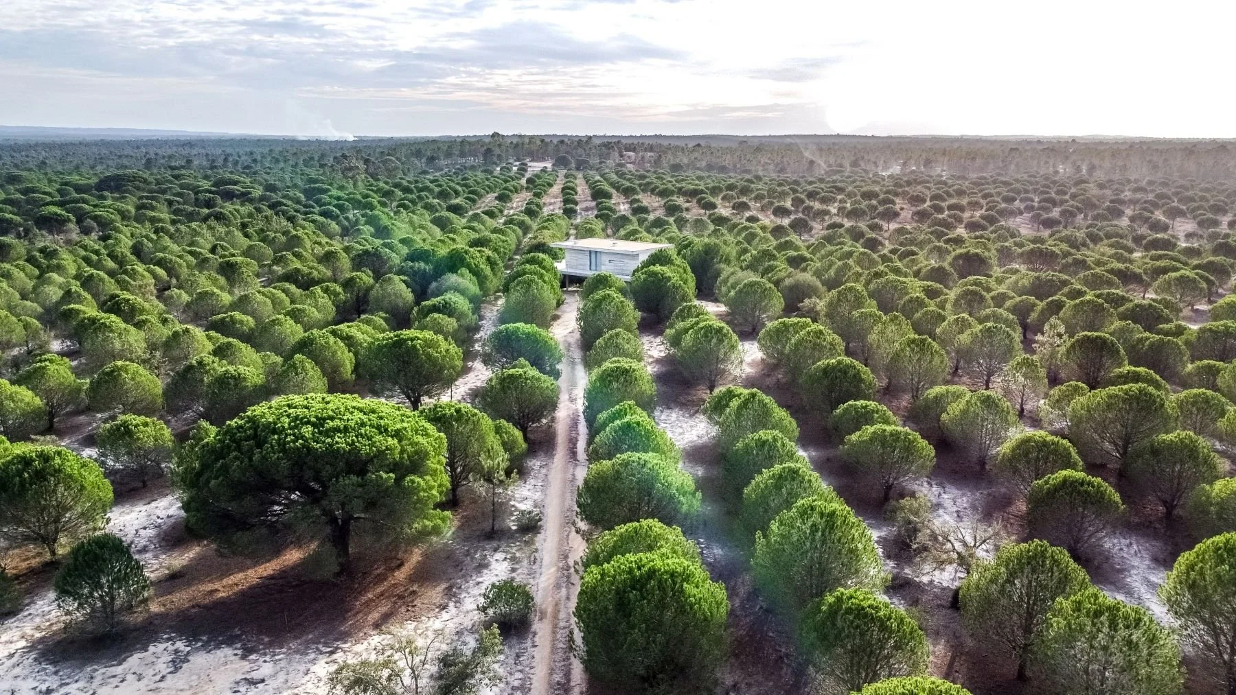 CasadaVigia-HerdadedoChaparral-hotel-arquitetura-imobiliário-ricardojvaz (31).jpg