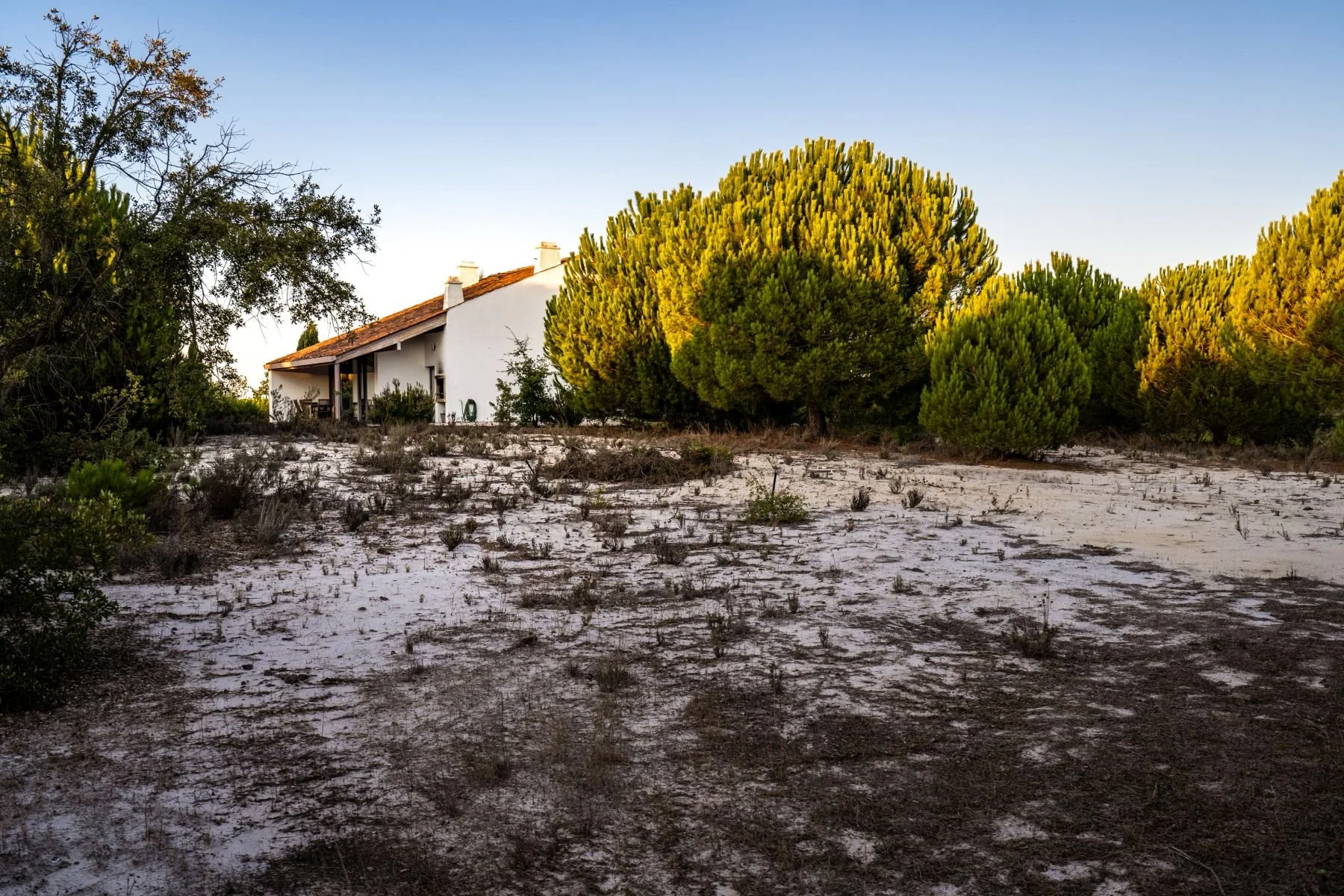 CasadoFerro-HerdadedoChaparral-hotel-arquitetura-imobiliário-ricardojvaz (32).jpg