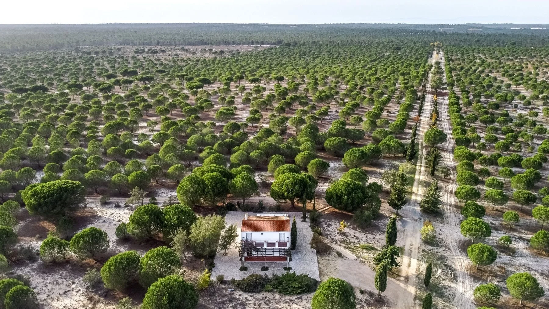 CasadoFerro-HerdadedoChaparral-hotel-arquitetura-imobiliário-ricardojvaz (40).jpg