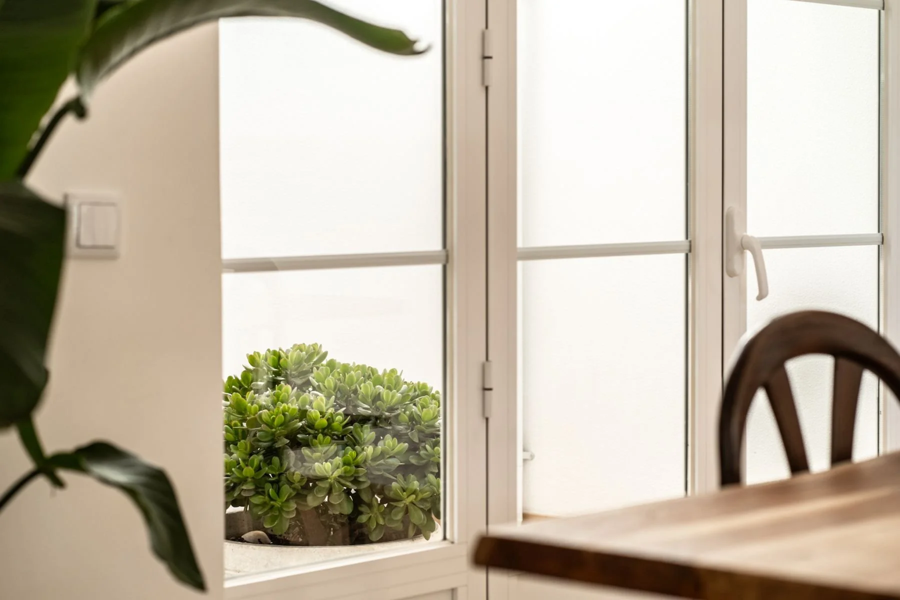 FonteSesimbra-moradia-lisbeyond-arquitetura-imobiliário-ricardojvaz (45).jpg