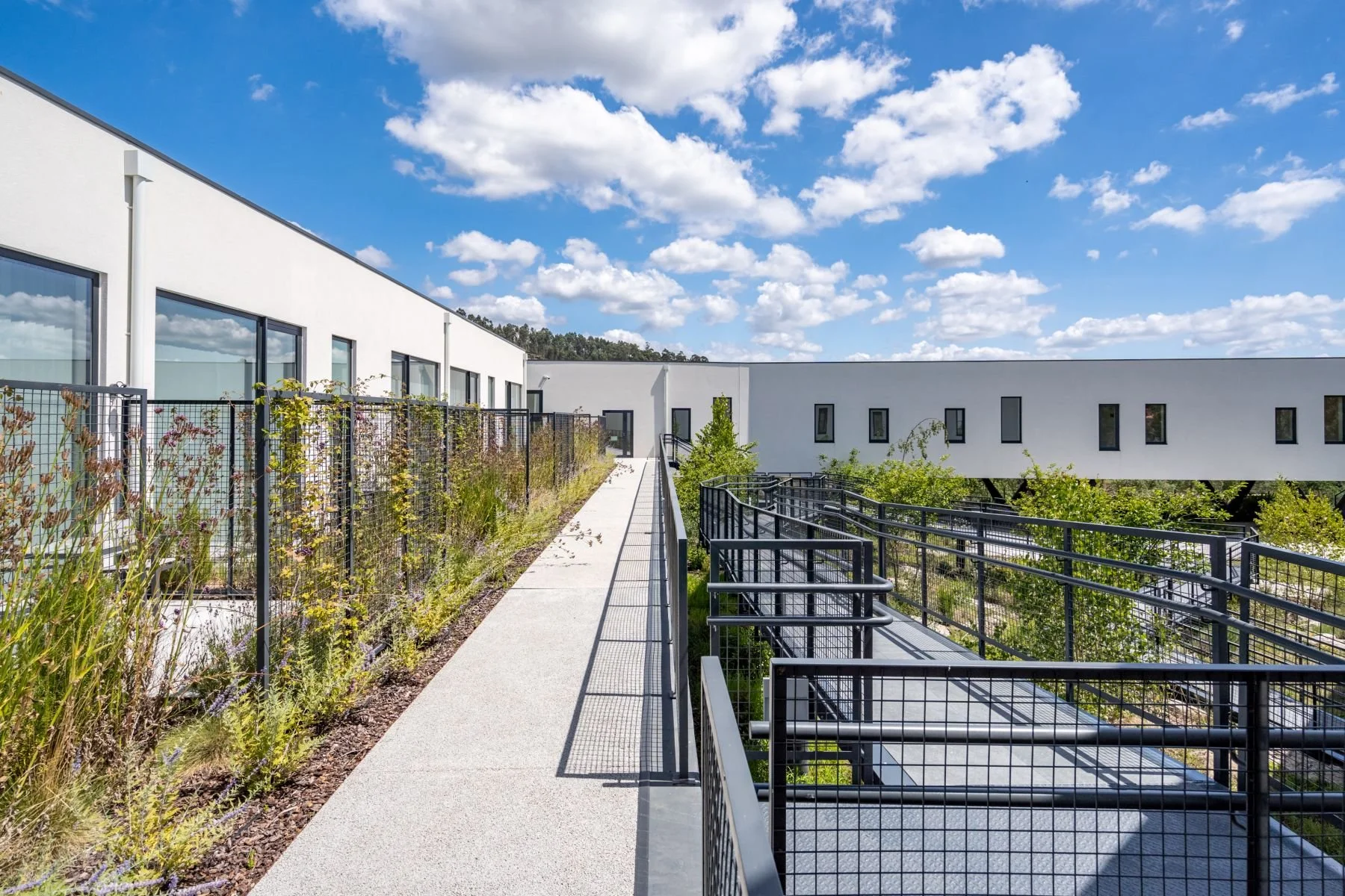 VivenzaSéniorLiving-LaresOnline-arquitetura-imobiliário-ricardojvaz (42).jpg