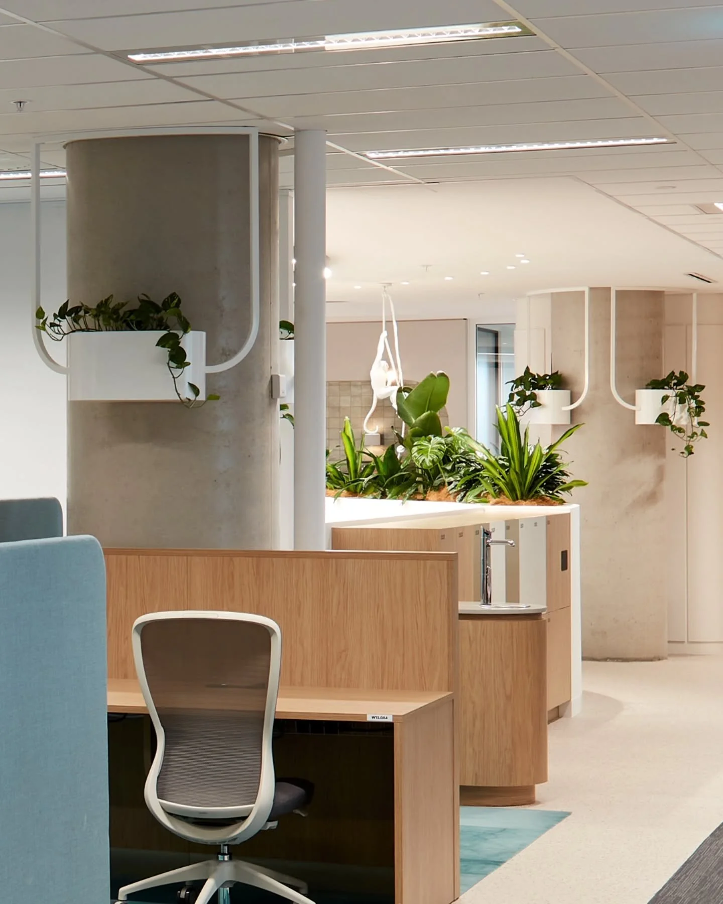 Project
HCF

Designer
@iadesignaustralia

Year
2024

Location
Sydney, NSW

Products
COLUMN system
FATI hanging cachepot

Special considerations &nbsp;

The specifier truly tapped into the full potential of the FATI planters, creating a multi-level la