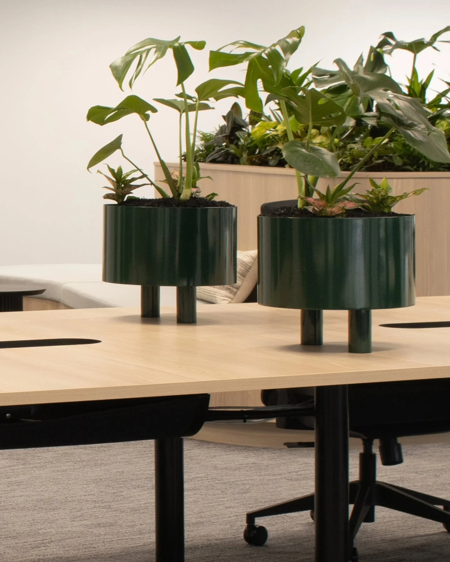 oldie but goodie 🙂 

Designer&nbsp;
@intermain

Year&nbsp;
2024&nbsp;

Location&nbsp;
Sydney, NSW&nbsp;

Products&nbsp;

TUBE workstation and table base system&nbsp;
FATI planter&nbsp;
CONUS fixed&nbsp;
GROVE planter&nbsp;
TRAX soft-wiring managemen