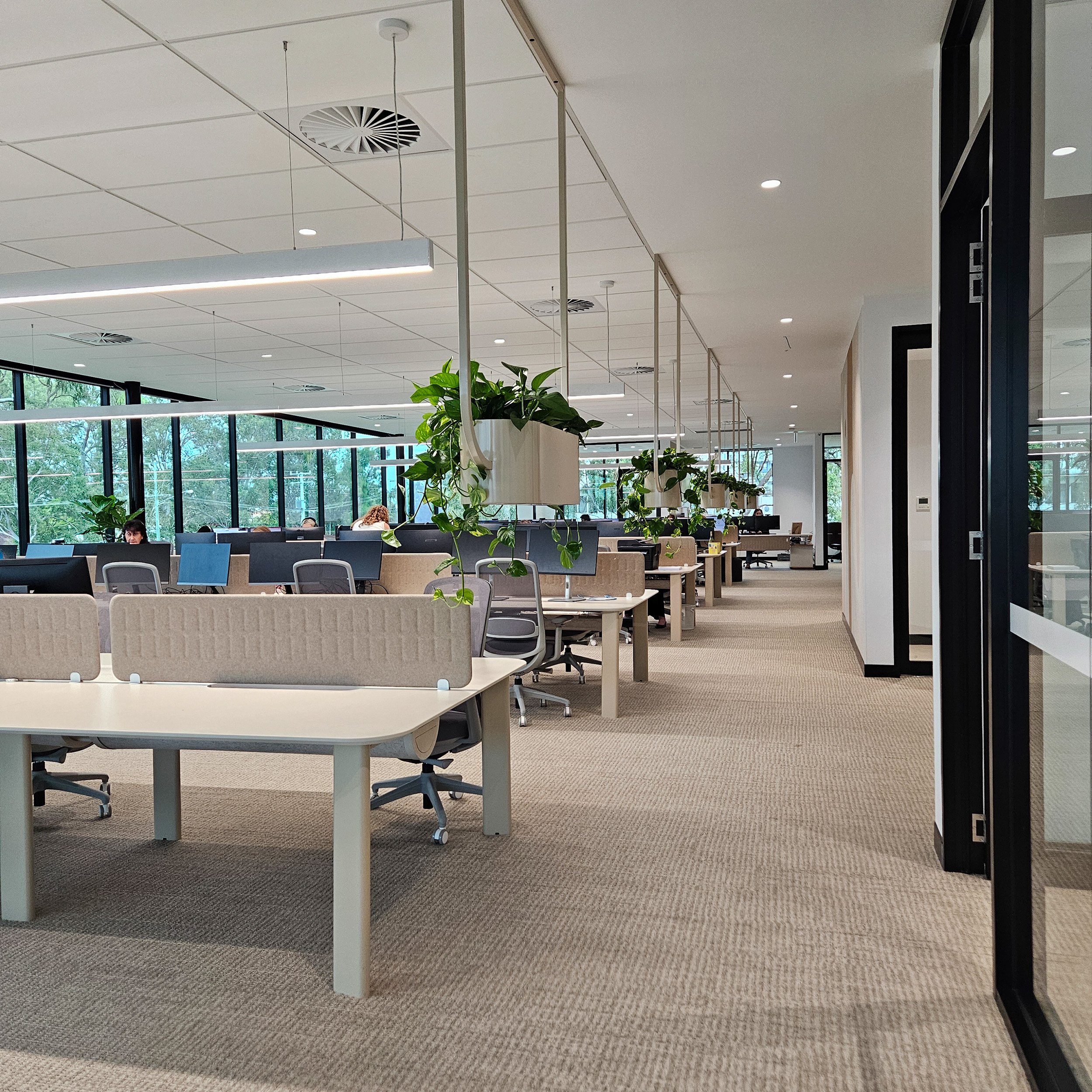 OBLONG workstation FATI planters all paperbark.jpg