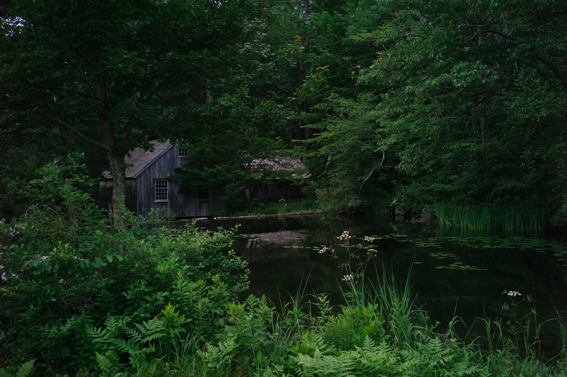 eastcoast_lores-1021466.jpg