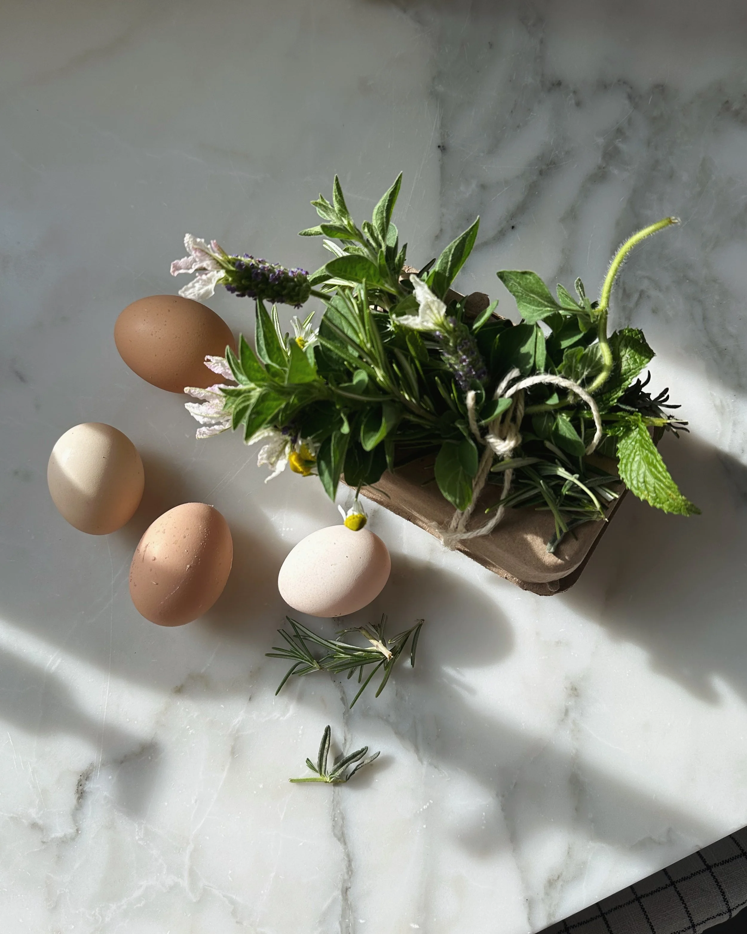 Elevated Eggs