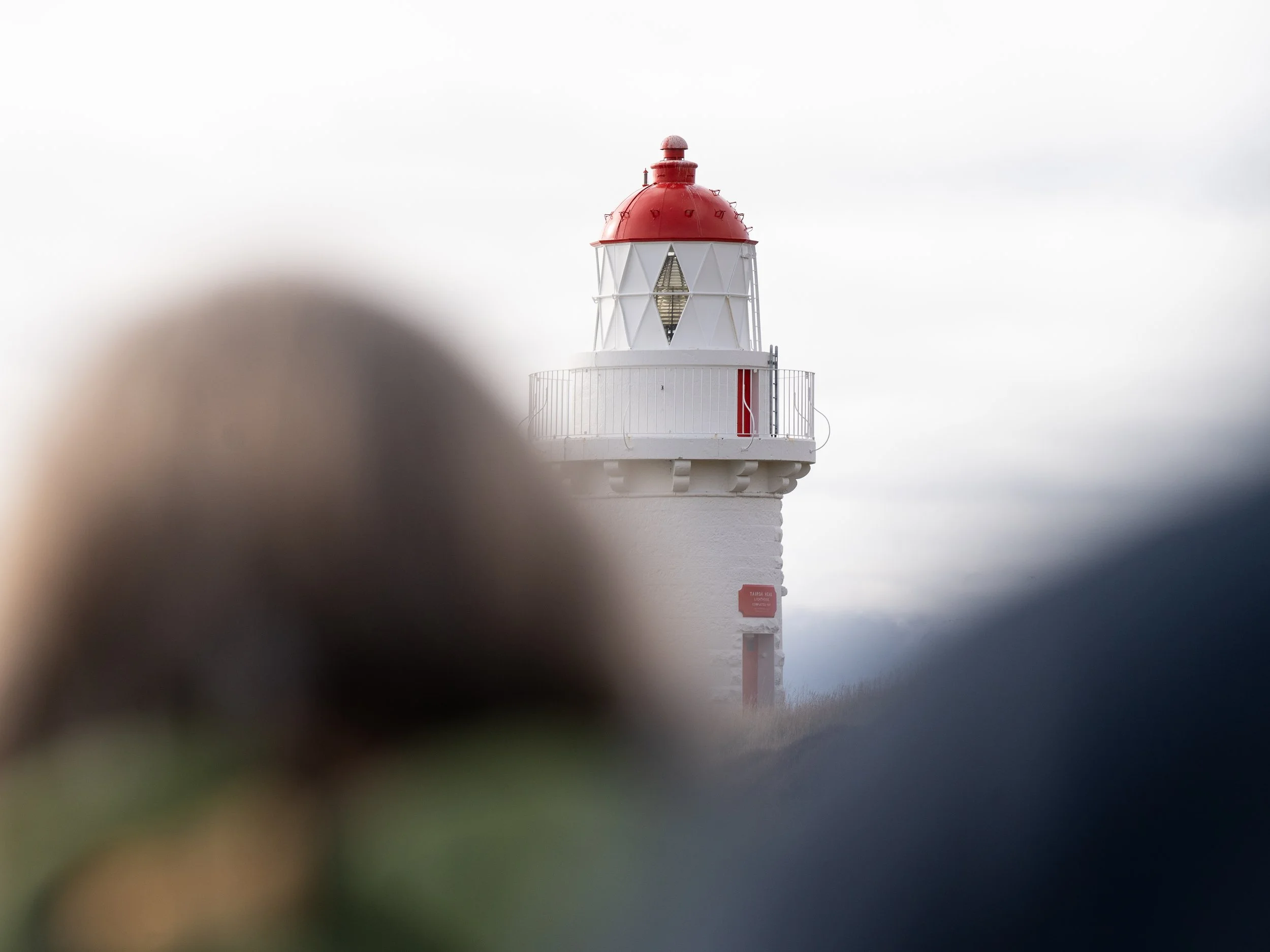 Taiaroa lighthouse - c. Madeleine Brennan, DOC (7).jpg
