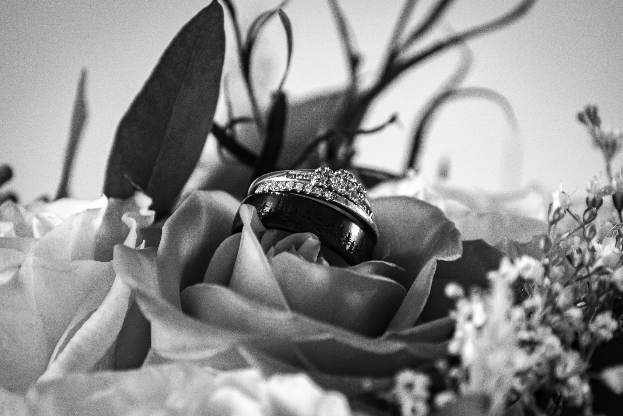 E Decorations (55) .jpg
