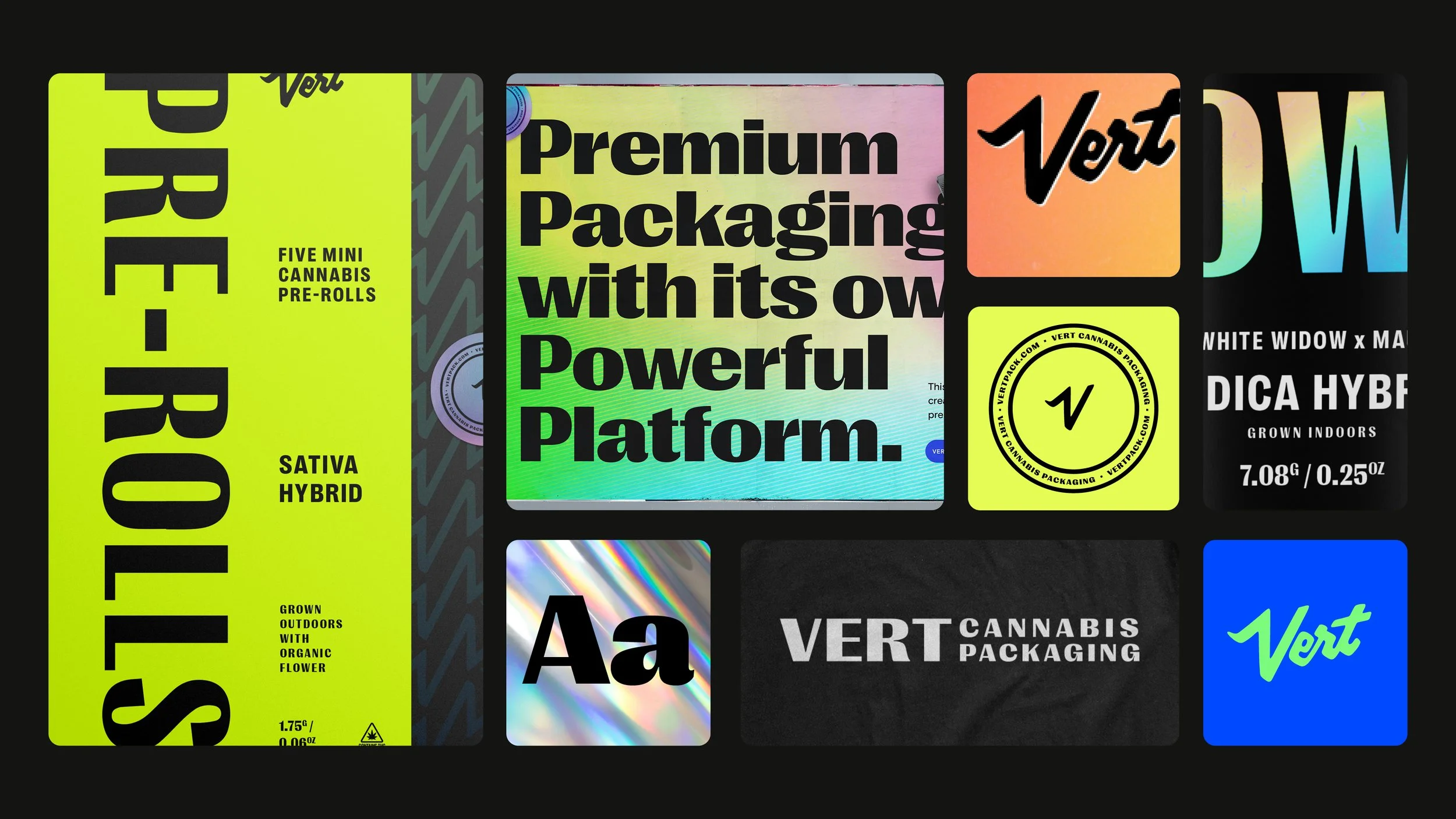 Vert Brand Identity R1.jpg