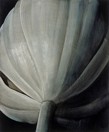 Untitled 20030909 : 2003 : Oil on canvas 90 x 90 cm