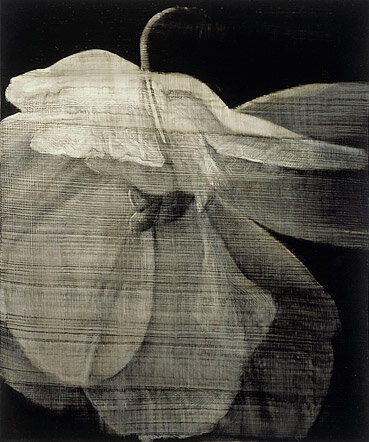 Untitled 20030908 : 2003 : Oil on canvas 120 x 100 cm