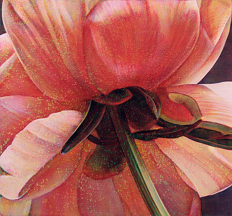 Untitled 20070204 : 2007 : 148 x 160 cm Oil on canvas