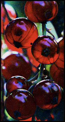 Lightfall II (Paper), 2011 : 152 x 80 : Edition of 2 AP