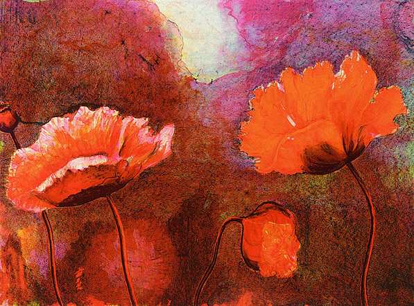 Poppies : 1991 : Lithograph on paper : 56 x 76 cm : Edition 30