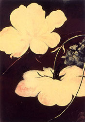 Untitled (Yellow Flower) : 1993 : Lithograph on paper 111 x 81.5 cm : Edition of 38