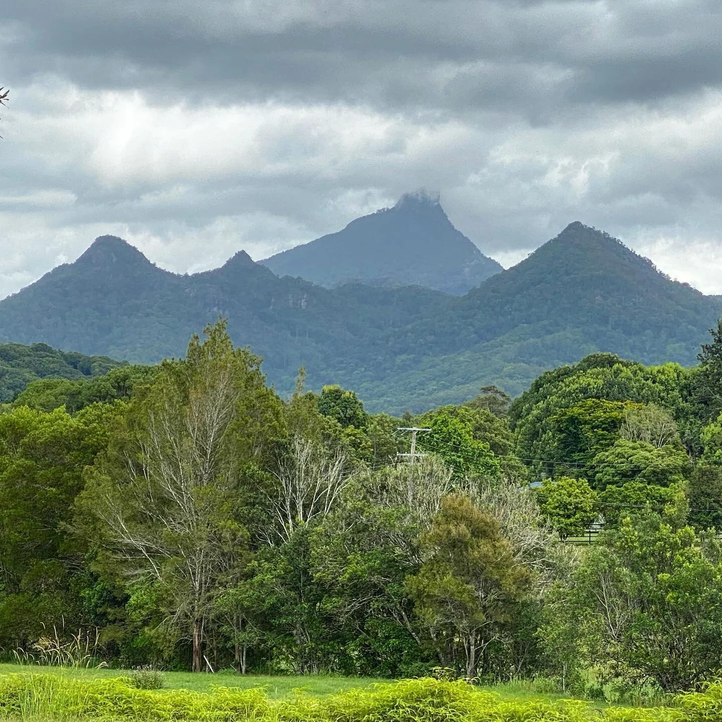 Mt Warning. Viewed from the east. Remnant of the largest caldera in the Southern Hemisphere and extraordinary whatever way you look at it.
