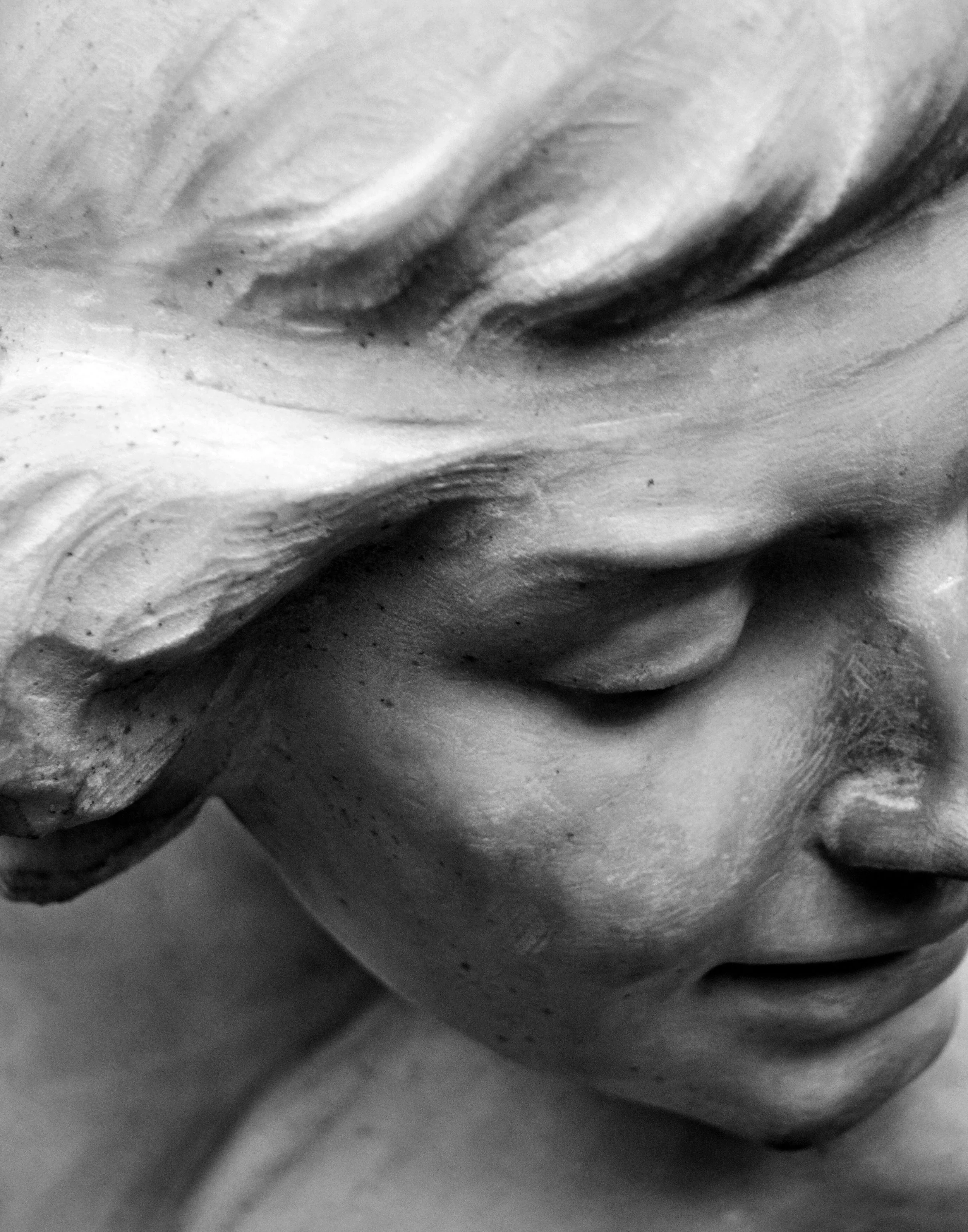 _DSC4490BW11X14CROP.jpg