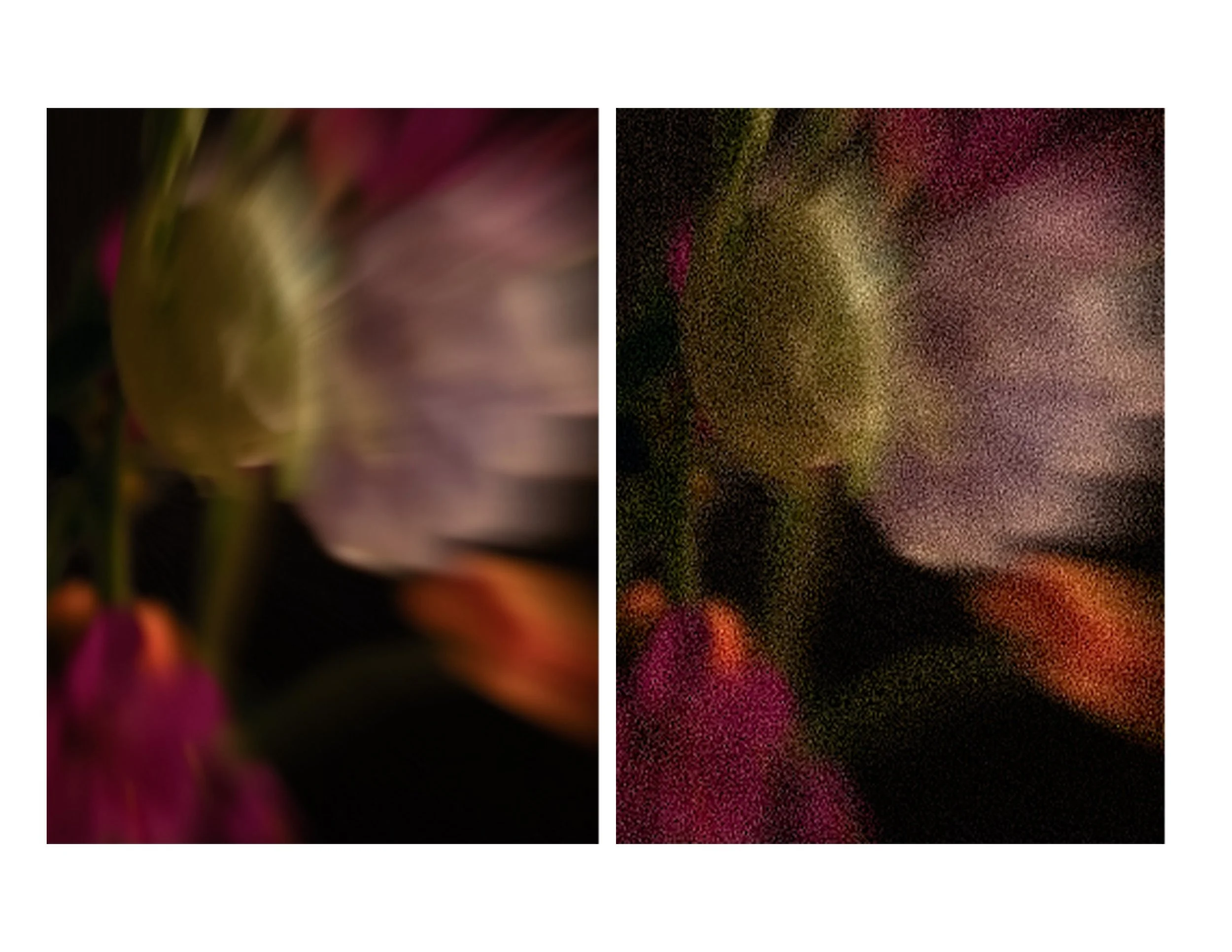Untitled-1ABSTRACTFLORAL.jpg