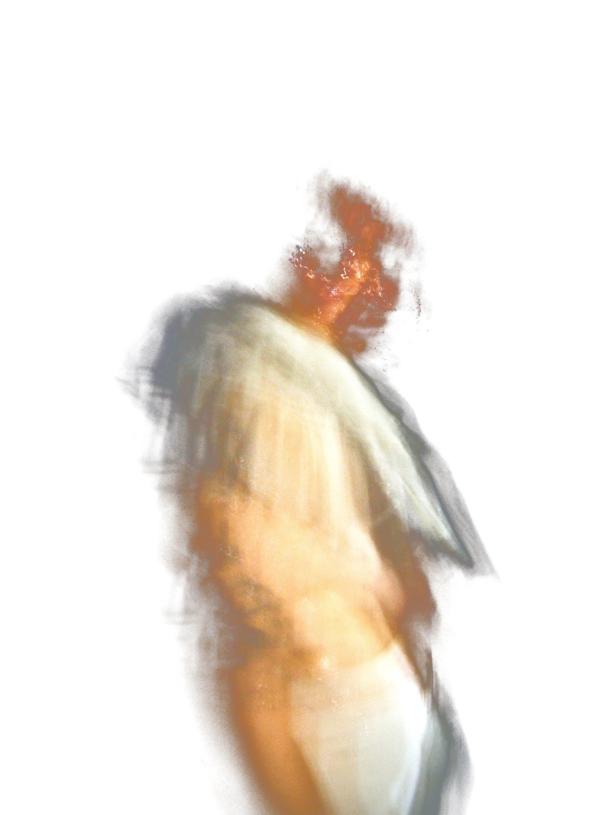 _DSC8940-EditCONCEPT.jpg