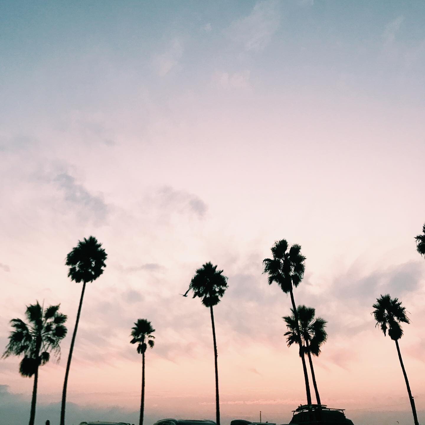 🎉thank you to our 2.1K followers!🎉

We really appreciate all of your support and love. We love our SIP community so much!💖

🌱🌱🌱🌱🌱
🎙We&rsquo;ve been working hard on our newly launched Podcast called CatharSIS, a podcast about the meaning of l