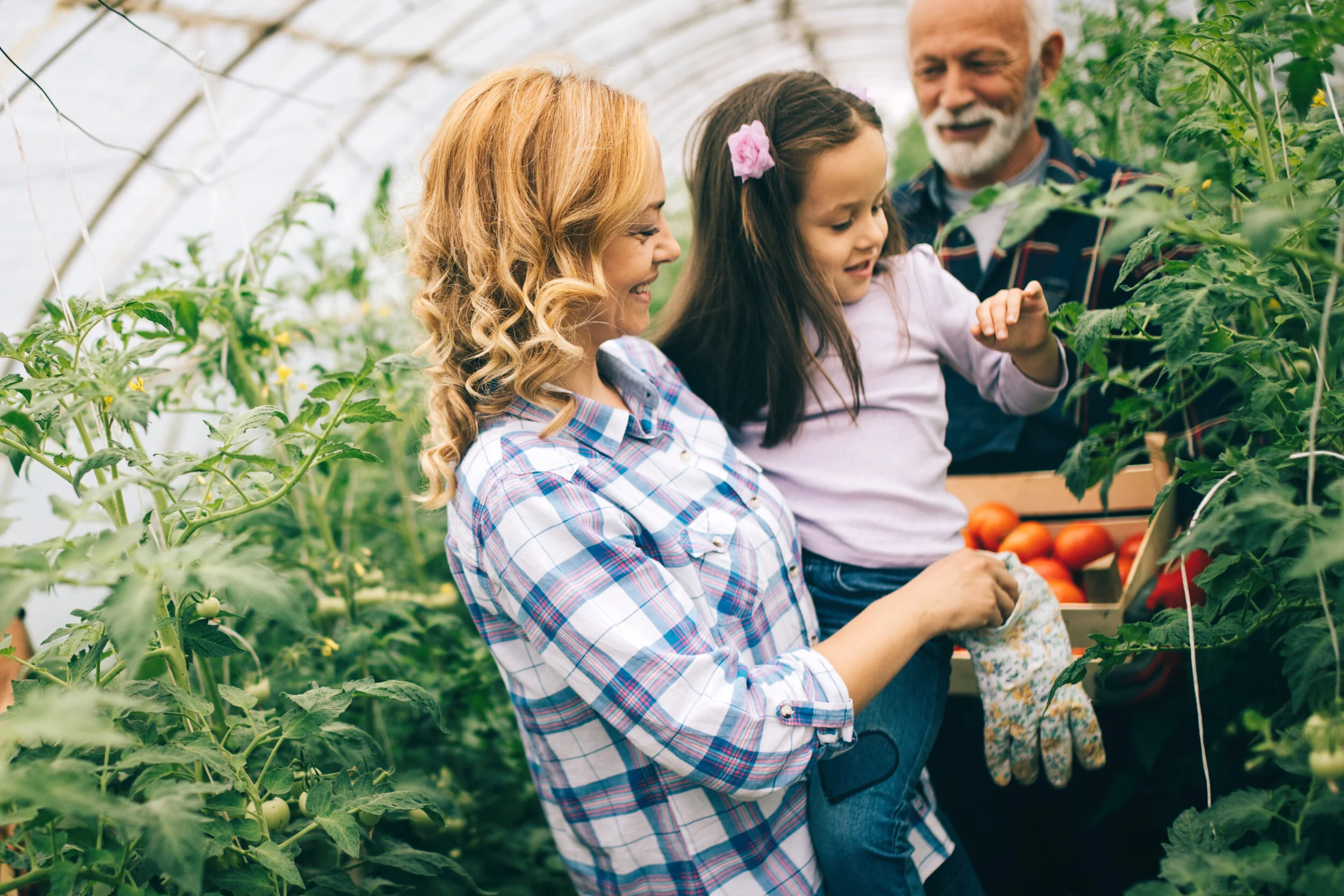 grandfather-growing-organic-vegetables-with-grandc-WM34LQ8.jpg