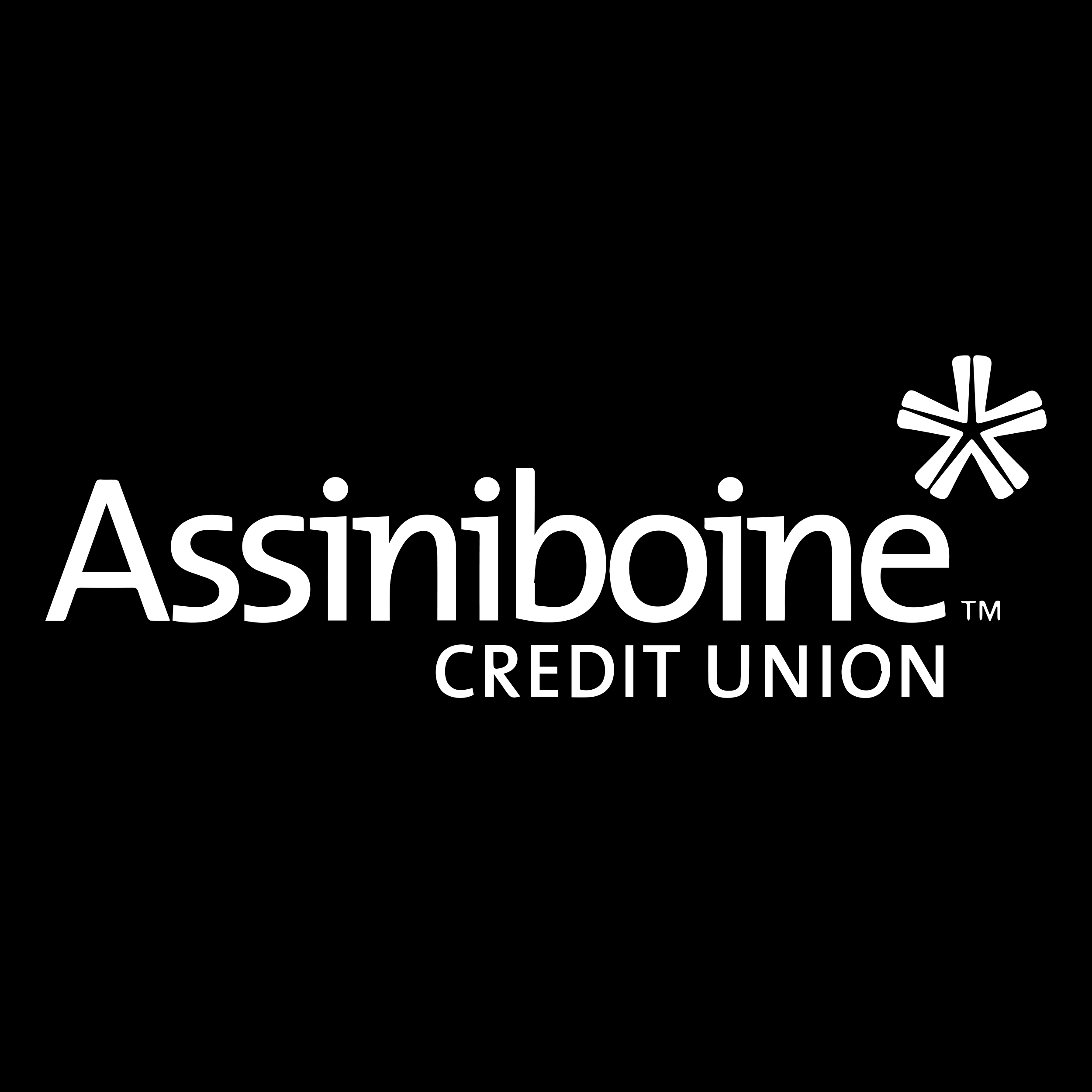 Assiniboine.png