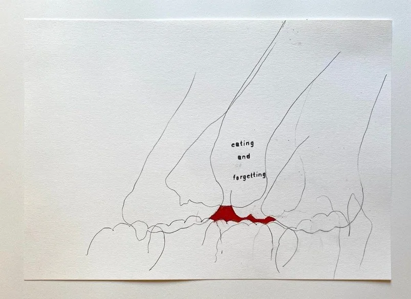 Eating and forgetting
Graphite and chinagraph on paper
42x30 centimetres
$550 (including GST)