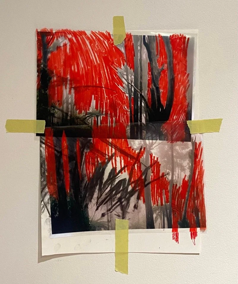 All works are untitled
Graphite, chinagraph, charcoal from the mountain, painters masking tape on doubled paper
Various dimensions, approximately 30x45 centimetres
$550 (including GST)