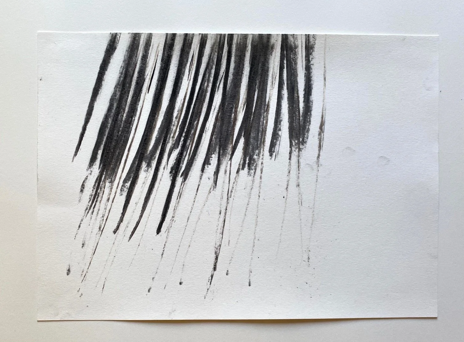 What comes out
Charcoal (from the mountain) on paper
42x30 centimetres
$550 (including GST)