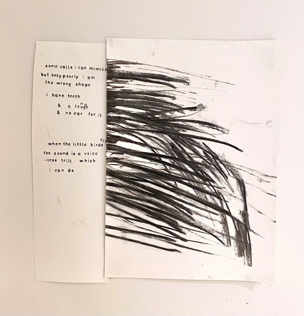 All works are untitled
Graphite, chinagraph, charcoal from the mountain, painters masking tape on doubled paper
Various dimensions, approximately 30x45 centimetres
$550 (including GST)