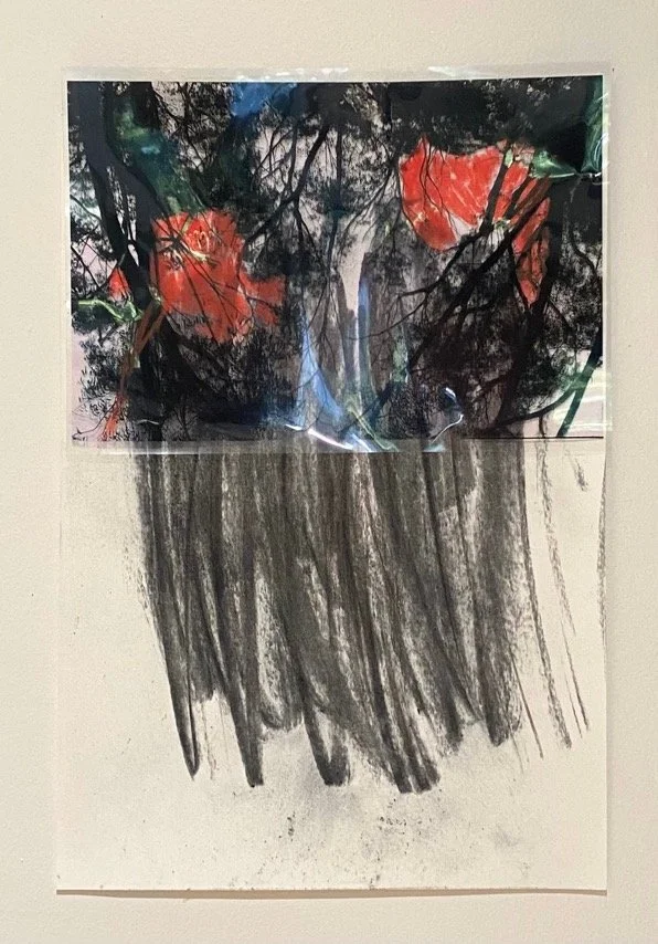 All works are untitled
Graphite, chinagraph, charcoal from the mountain, painters masking tape on doubled paper
Various dimensions, approximately 30x45 centimetres
$550 (including GST)