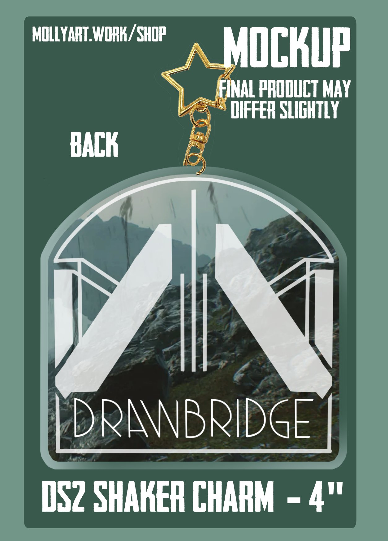 ds2shaker-mockup2.jpg