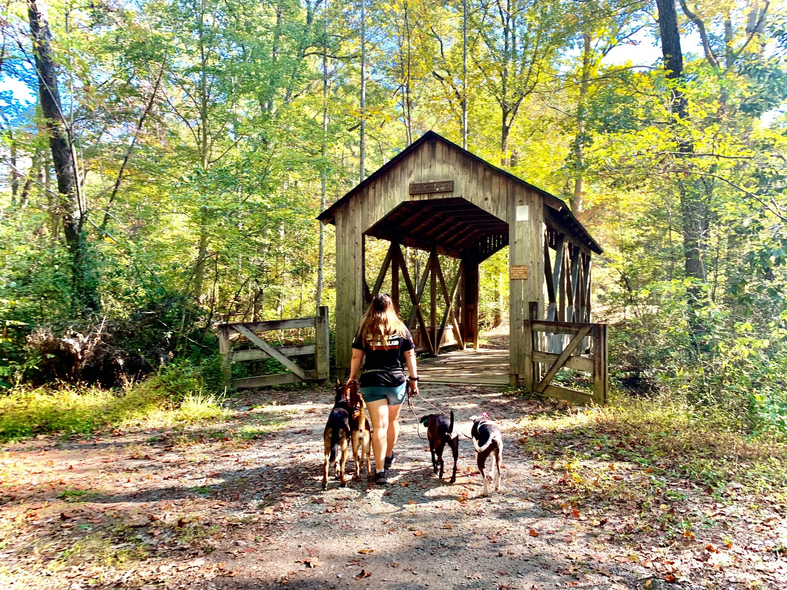 About — Rocky Mountain Dogs