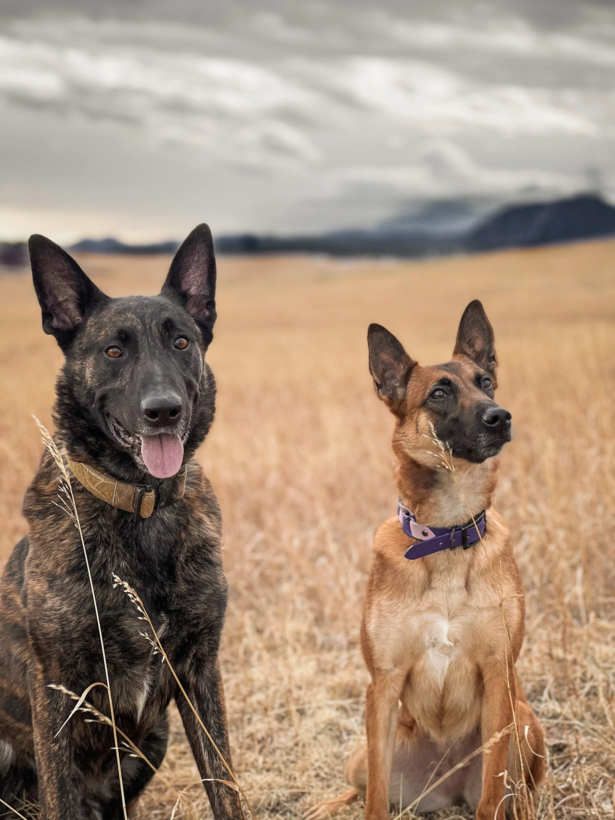 About — Fear Free BNB