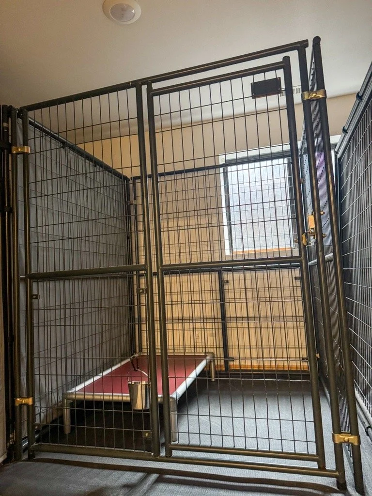Large kennel run