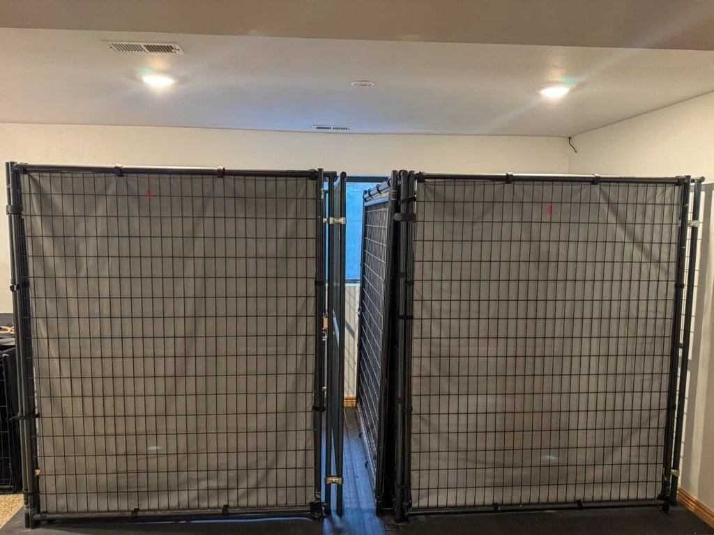 Visual barriers on kennel runs to eliminate visibility of other dogs