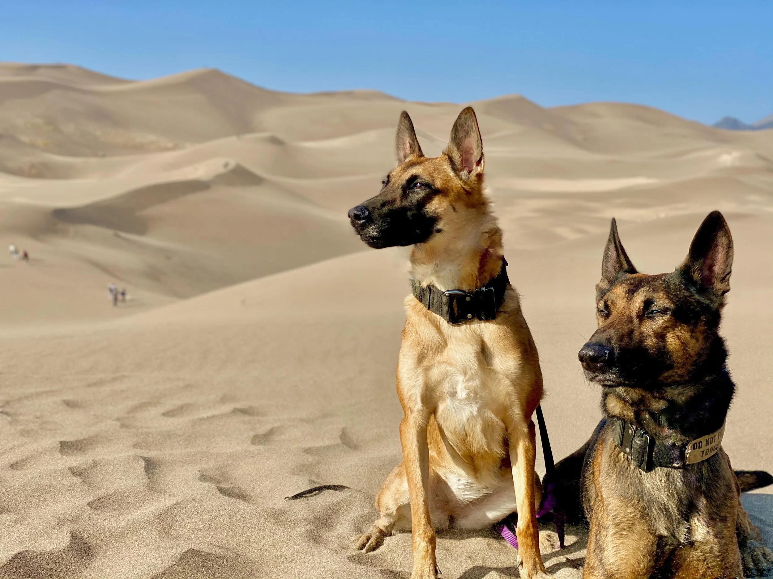 About — Fear Free BNB