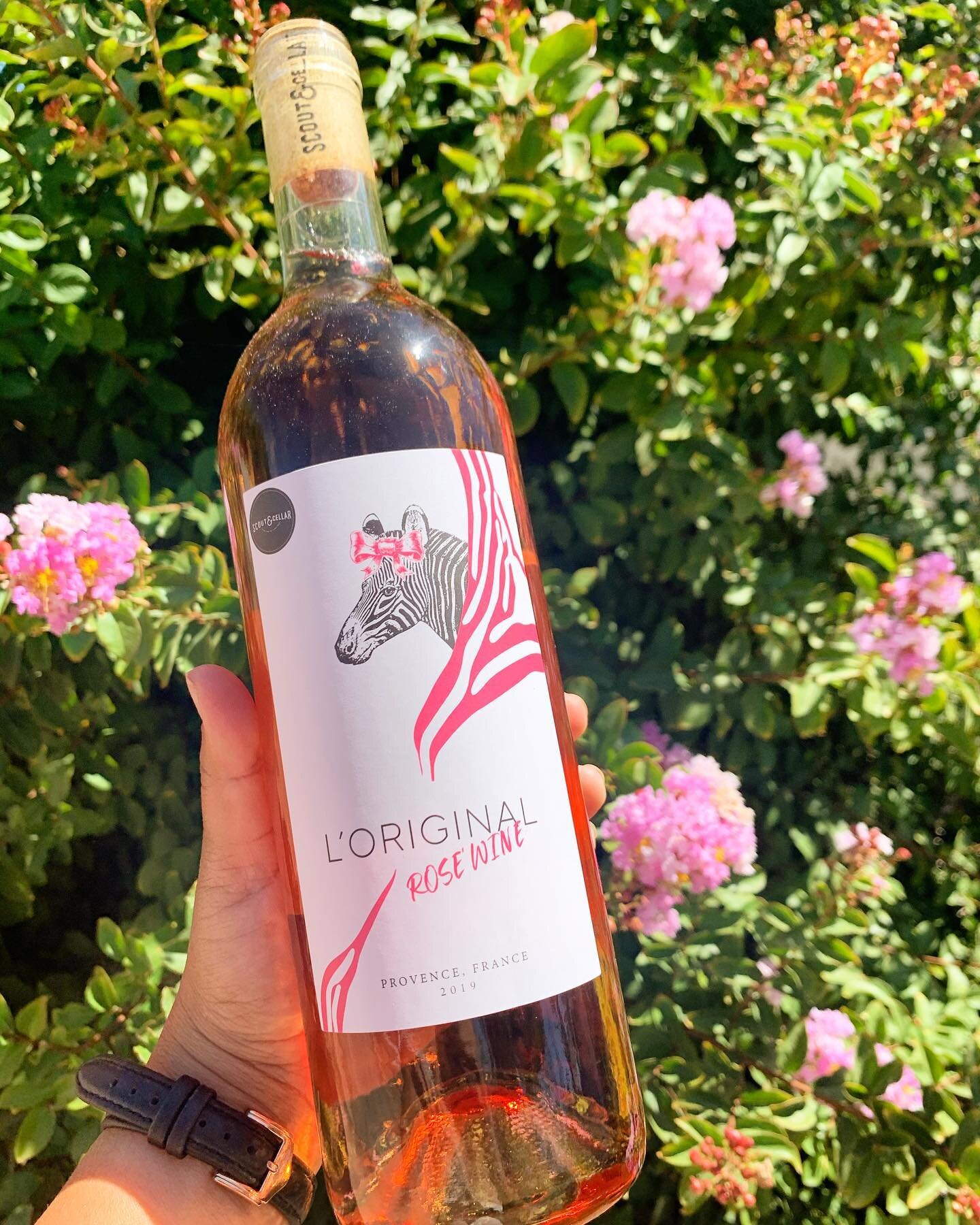 Rosé all day isn&rsquo;t that what they say?? 
This fruity, summatime lover is the best for this hottt day! 
We have a classic Provence Rosé here with strawberry, peach, and floral essences. Pairs great with cheese, watermelon, salmon, prawns... th
