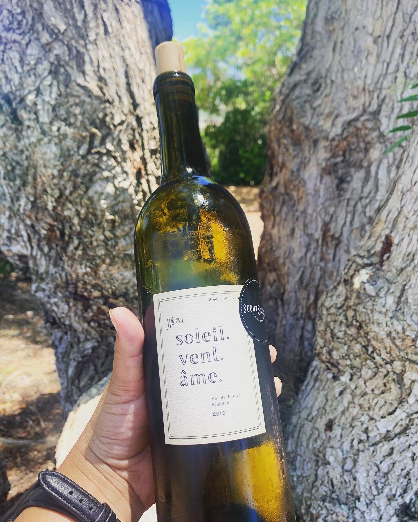 2018 Soleil. Vent. Âme. Sémillon, Vin de France
Aka Sun. Wind. Soul. 

Vegan, Organic, Unfiltered, Clean Crafted.

Let&rsquo;s talk about Sémillon! 
This grape is a classic, it is full bodied like a Chardonnay but gives you more of a new world Sau
