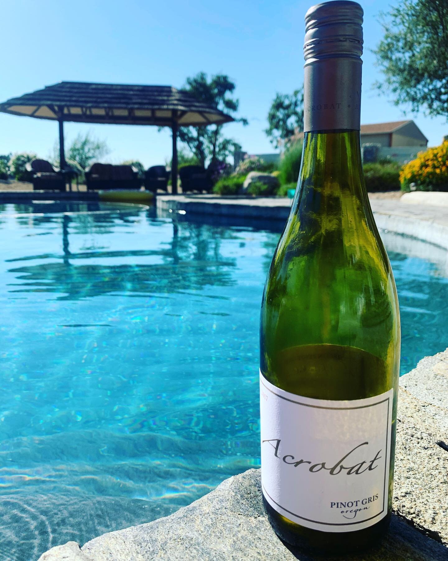 Wine is best served poolside.
If you don&rsquo;t know now you know. 
Let&rsquo;s talk about the 2017 Acrobat Pinot Gris from Oregon. 

This bottle exemplifies how a good bottle can balance high acidity with a silky, sexy smoothness to it. 
The nose g