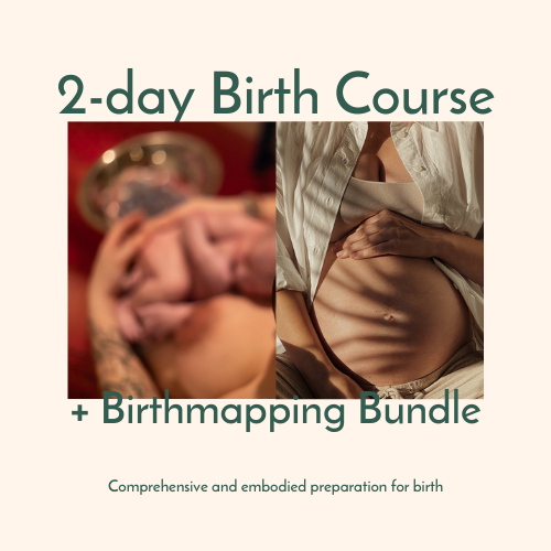 Birth and Birth Map bundle.png